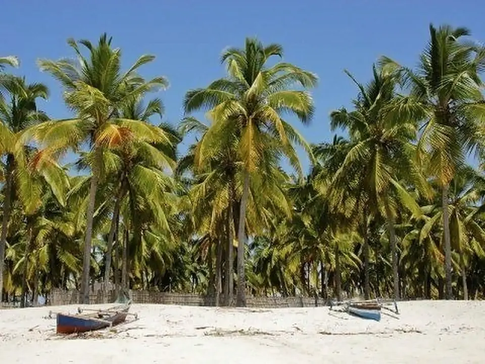 Palme e barche sulla spiaggia bianca, Mozambico