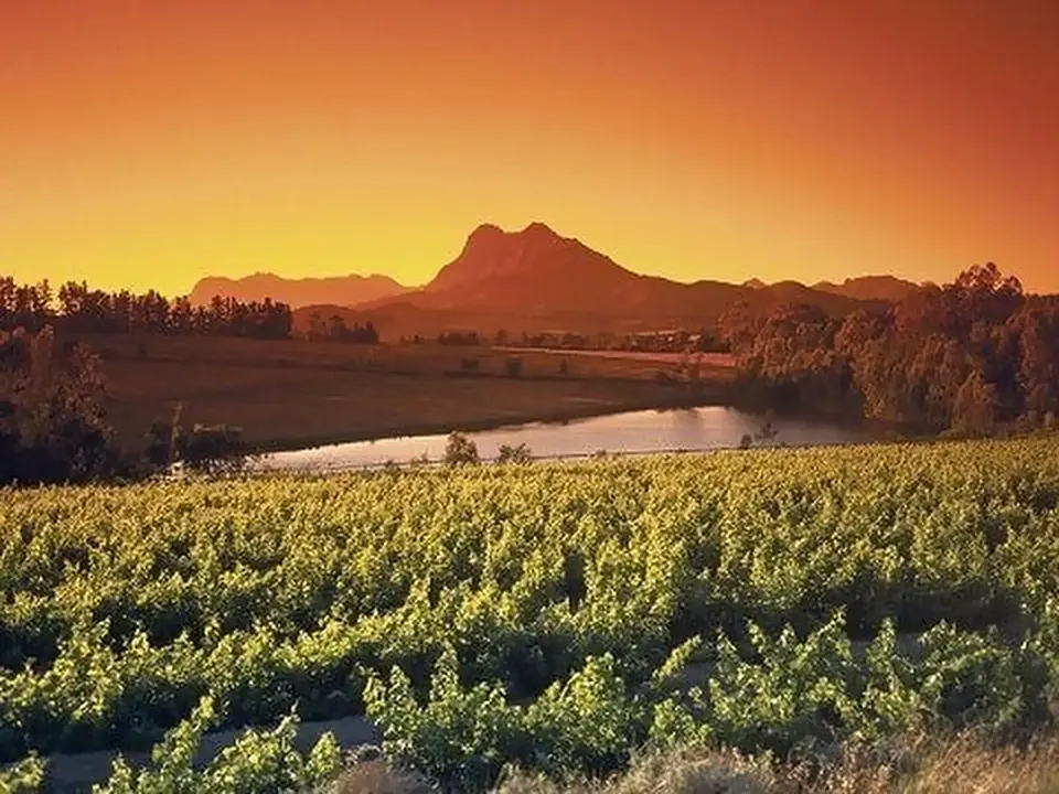 Vigneti e montagne al tramonto in Sudafrica