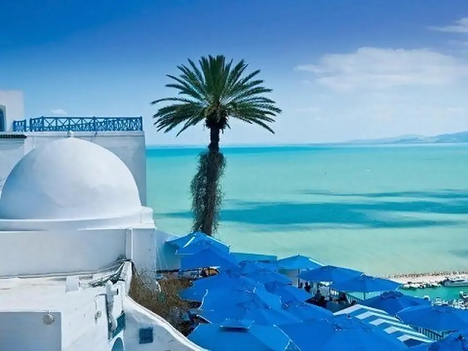 Terrazza bianca e blu sul mare di Sidi Bou Said, Tunisia